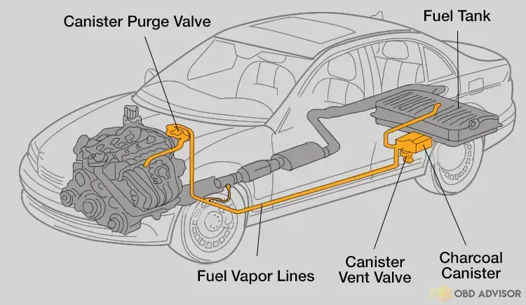 evap system