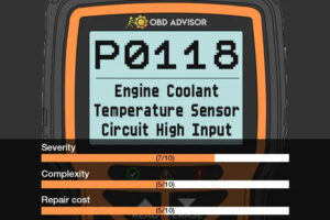 p0118