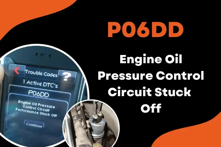 p06dd