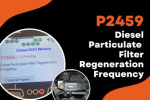 p2459